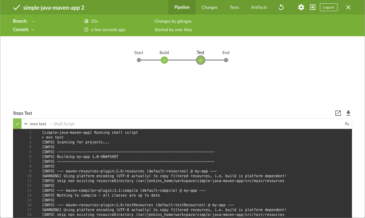 Test stage runs successfully (with output)